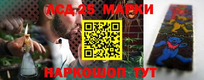 альфа пвп Новодвинск