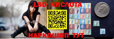 альфа пвп Новодвинск