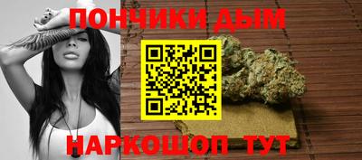 альфа пвп Новодвинск