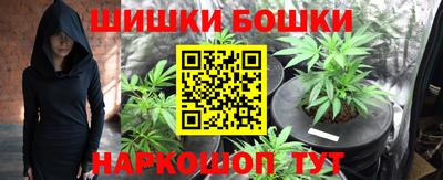 дмт Новокубанск