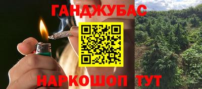 скорость Новозыбков