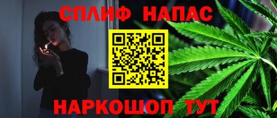 скорость Новозыбков