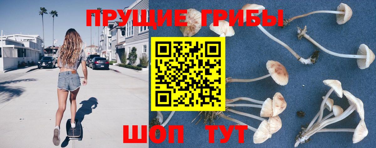 Псилоцибиновые грибы Psilocybe  Вход с VPN  Саяногорск 
