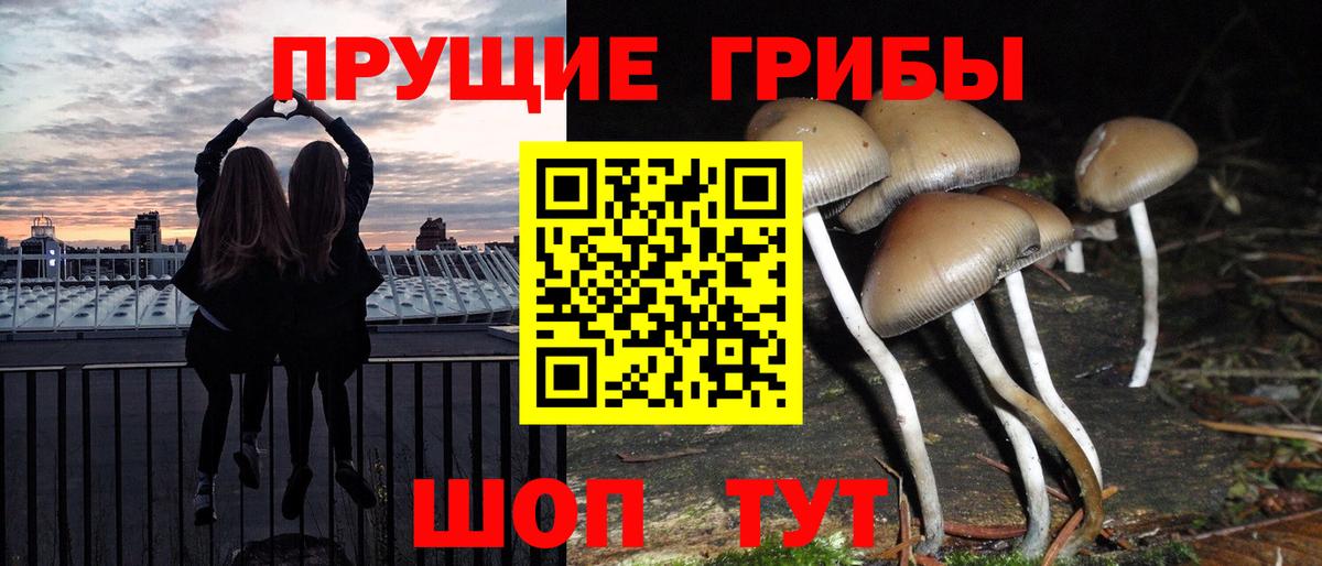 Галлюциногенные грибы мицелий Саяногорск